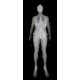 Установка персонального досмотра HOMO-SCAN Постановление №969 